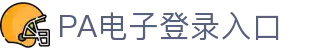PA电子(中国区)官方网站